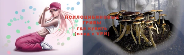 экстази Богородицк