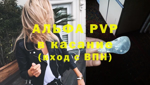 ешки Богданович